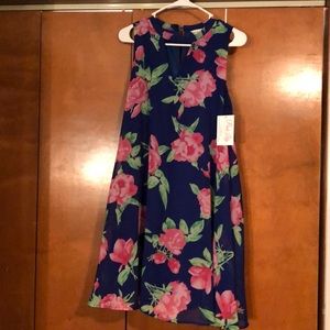 Pink Lily Spring dress